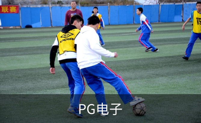 企业简介